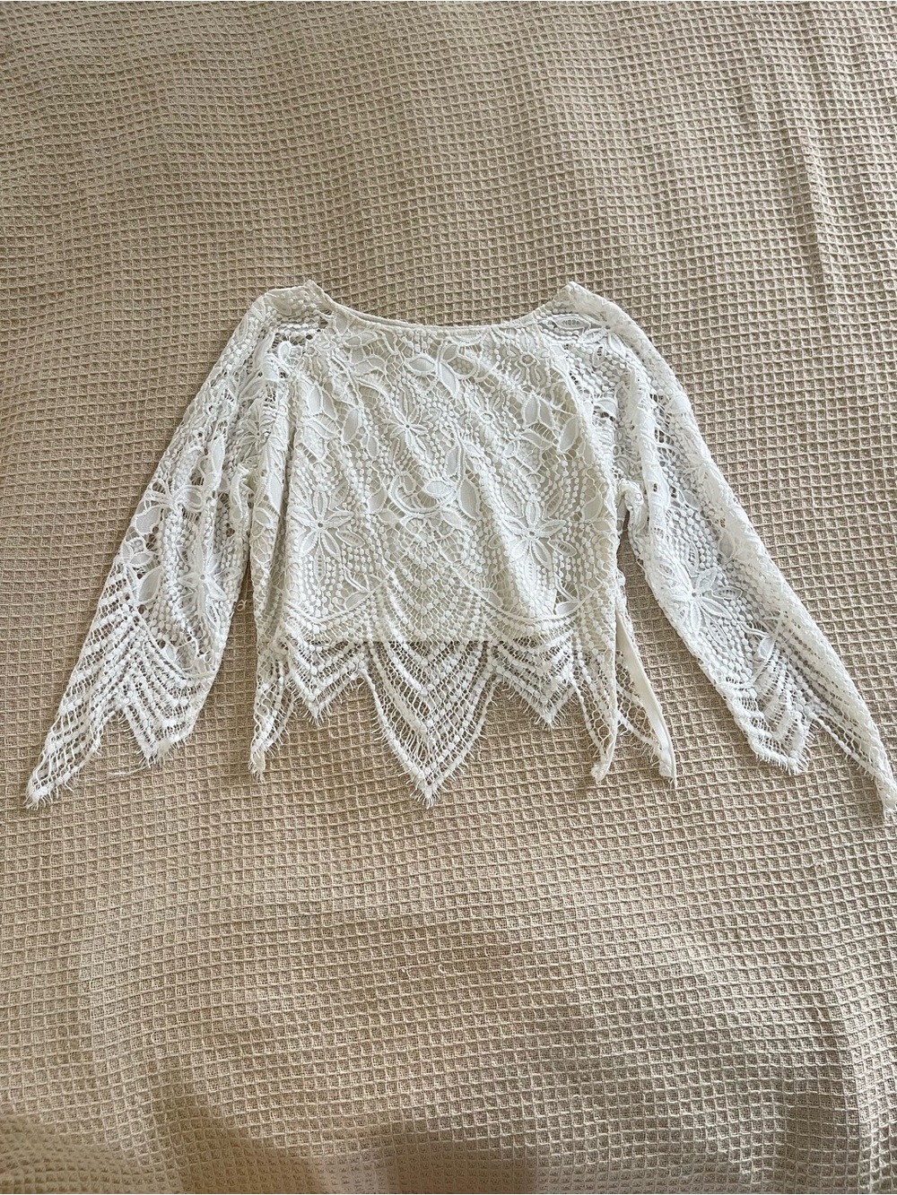 Lacey eyelash lace asymmetrical crop top